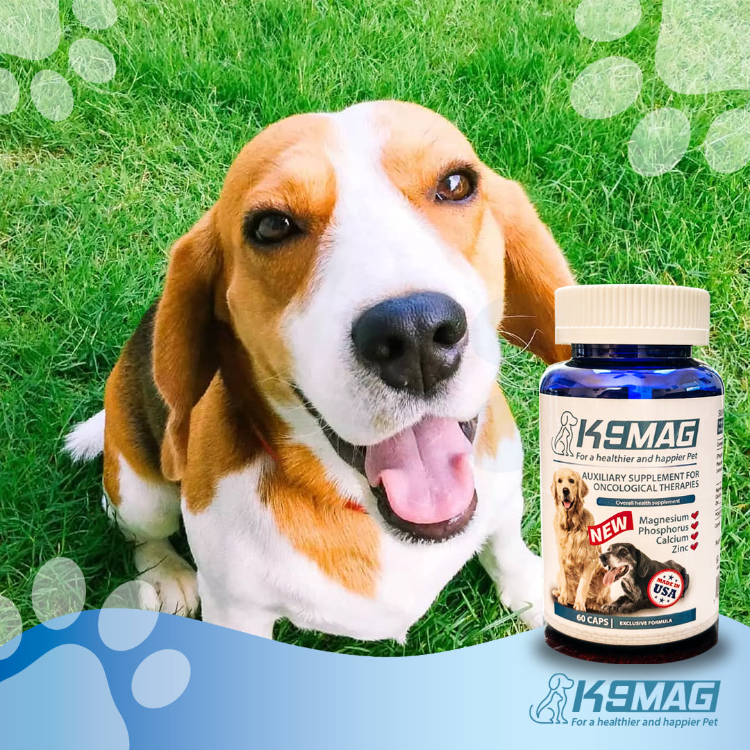 K9 MAG - For a Healthier and Happier Pet BUNDLE