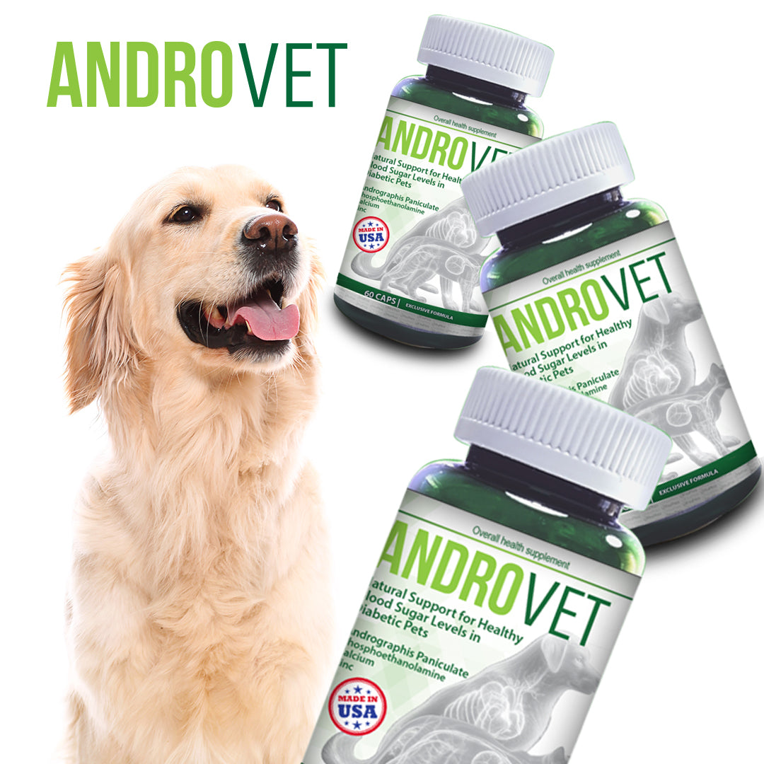 AndroVet - Natural Support for Healthy  Blood Sugar Levels in  Diabetic Pets