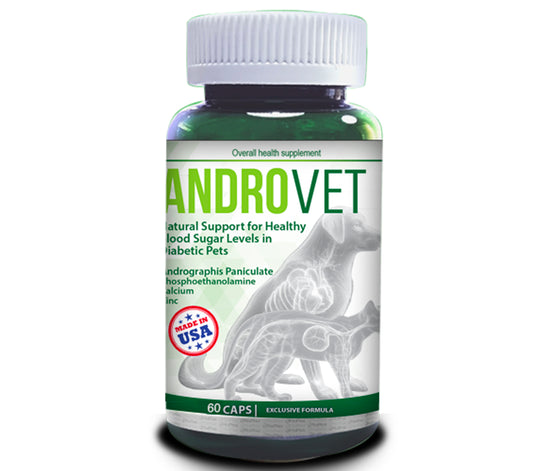 AndroVet - Natural Support for Healthy  Blood Sugar Levels in  Diabetic Pets