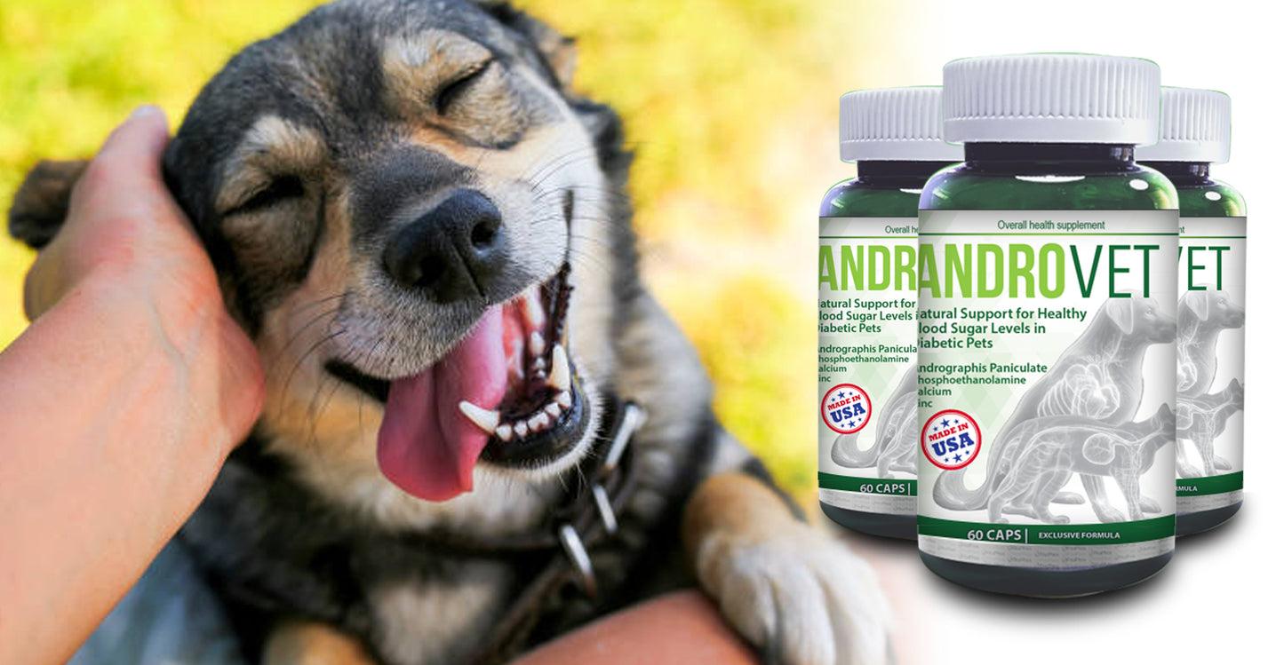 AndroVet - Natural Support for Healthy  Blood Sugar Levels in  Diabetic Pets